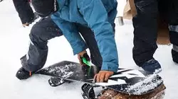 Voir La Meilleure Cire De Snowboard Cidessous